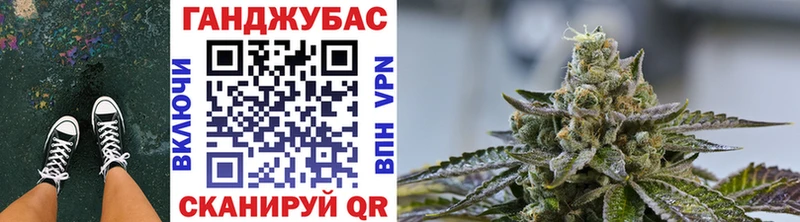 Марихуана планчик цена Рошаль